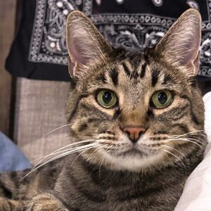 Meet your Posher, Tonya